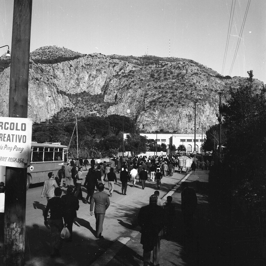 stadio la favorita barbera